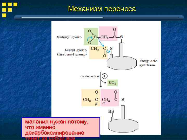 Механизм переноса малонил нужен потому, что именно декарбоксилирование тянет за собой все 