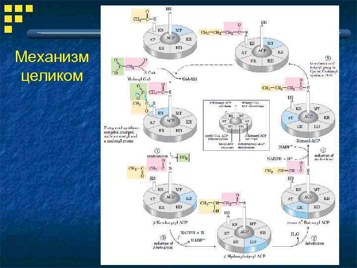 Механизм целиком 