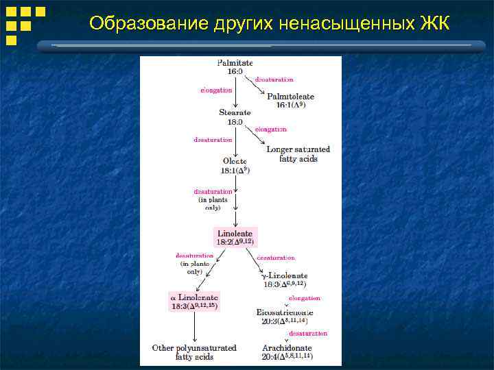 Образование других ненасыщенных ЖК 