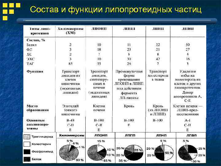 Состав и функции липопротеидных частиц 