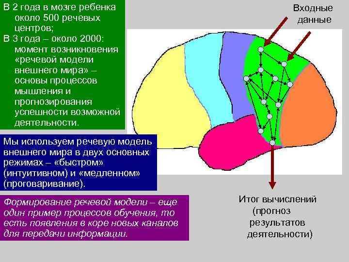 Схема строения сенсорной системы физиология