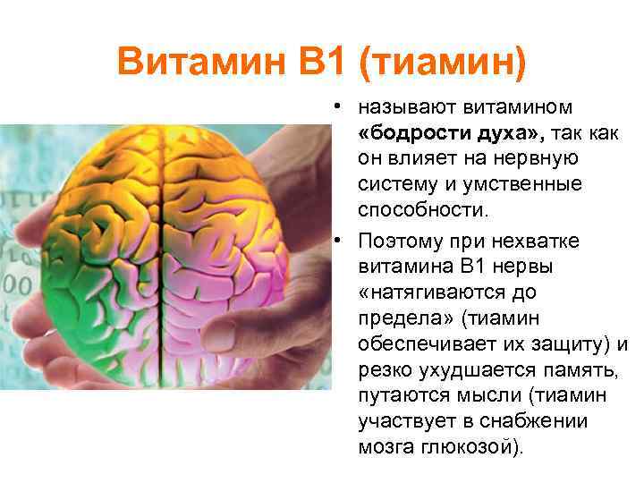 Витамин В 1 (тиамин) • называют витамином «бодрости духа» , так как он влияет