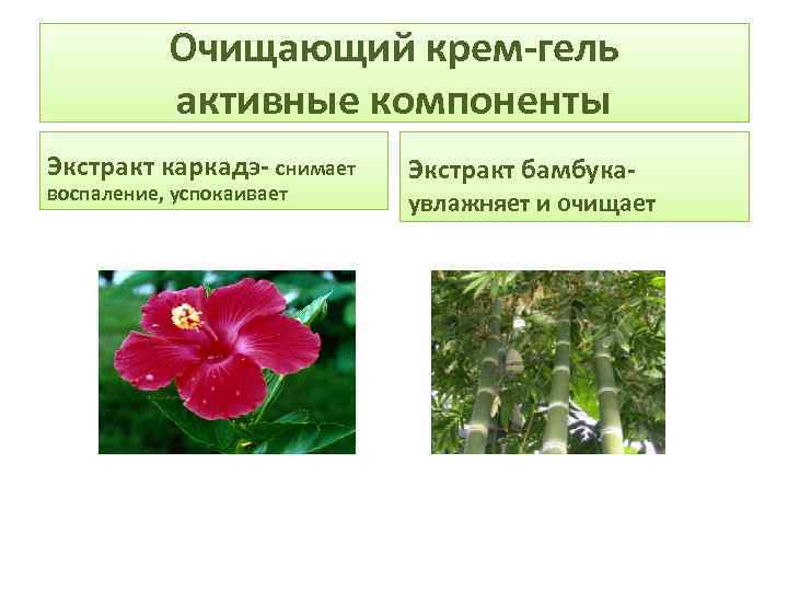 Очищающий крем-гель активные компоненты Экстракт каркадэ- снимает воспаление, успокаивает Экстракт бамбука- увлажняет и очищает