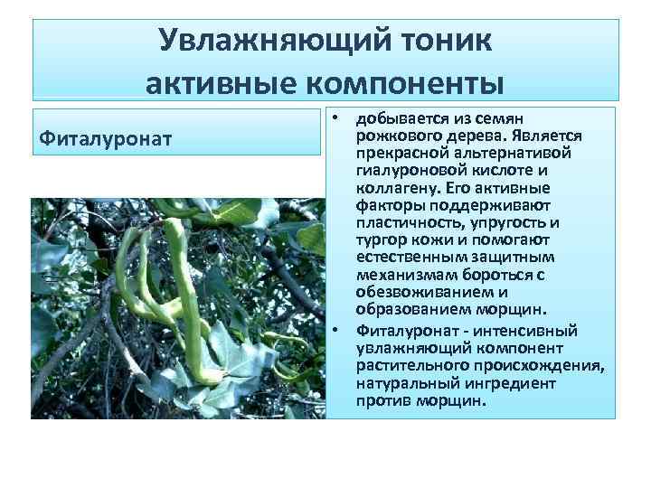 Увлажняющий тоник активные компоненты Фиталуронат • добывается из семян рожкового дерева. Является прекрасной альтернативой