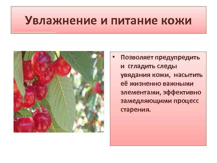 Увлажнение и питание кожи • Позволяет предупредить и сгладить следы увядания кожи, насытить её