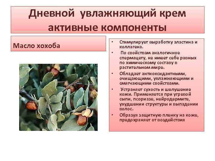 Дневной увлажняющий крем активные компоненты Масло хохоба • • • Стимулирует выработку эластина и