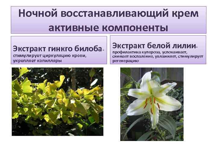 Ночной восстанавливающий крем активные компоненты Экстракт гинкго билоба- Экстракт белой лилиипрофилактика купероза, успокаивает, стимулирует