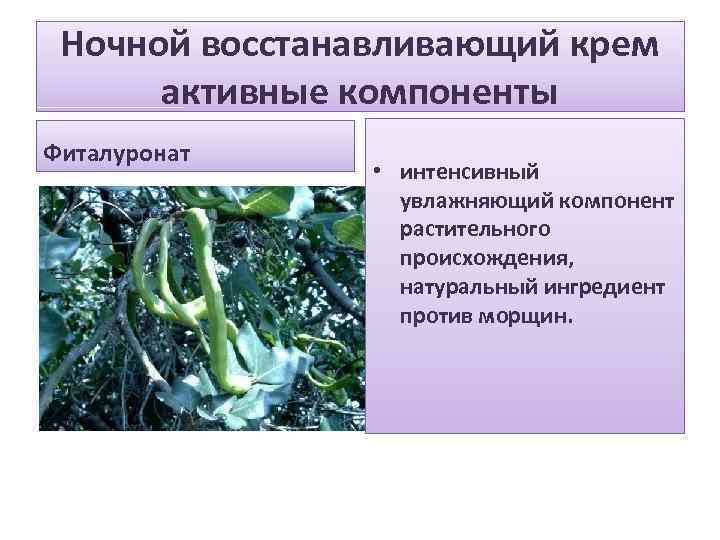 Ночной восстанавливающий крем активные компоненты. Фиталуронат • интенсивный увлажняющий компонент растительного происхождения, натуральный ингредиент