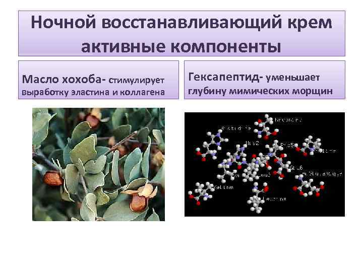 Ночной восстанавливающий крем активные компоненты Масло хохоба- стимулирует выработку эластина и коллагена Гексапептид- уменьшает