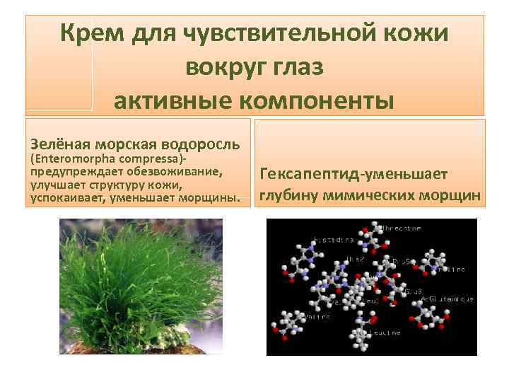 Крем для чувствительной кожи вокруг глаз активные компоненты Зелёная морская водоросль (Enteromorpha compressa)- предупреждает