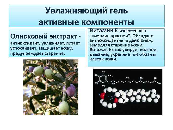 Увлажняющий гель активные компоненты Оливковый экстракт - антиоксидант, увлажняет, питает успокаивает, защищает кожу, предупреждает