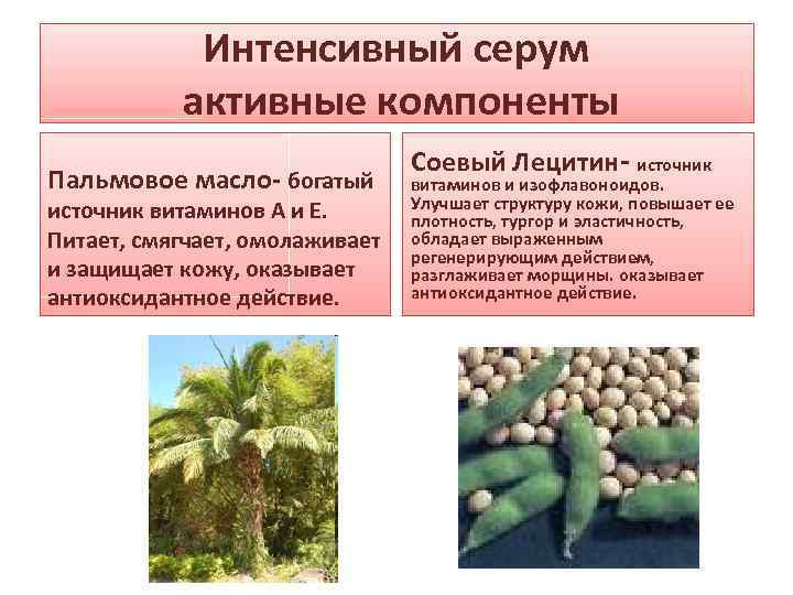 Интенсивный серум активные компоненты Пальмовое масло- богатый источник витаминов А и Е. Питает, смягчает,