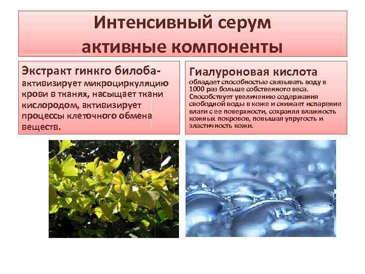 Интенсивный серум активные компоненты Экстракт гинкго билоба- активизирует микроциркуляцию крови в тканях, насыщает ткани