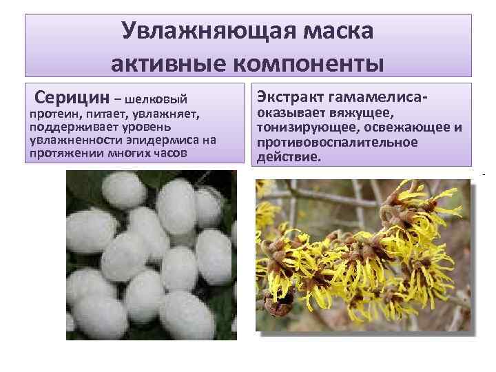 Увлажняющая маска активные компоненты Серицин – шелковый протеин, питает, увлажняет, поддерживает уровень увлажненности эпидермиса
