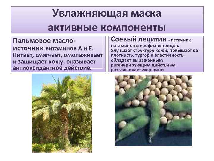 Увлажняющая маска активные компоненты Пальмовое маслоисточник витаминов А и Е. Питает, смягчает, омолаживает и