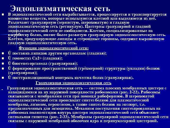 n Эндоплазматическая сеть В эндоплазматической сети вырабатывается, процессируется и транспортируется множество веществ, которые используются