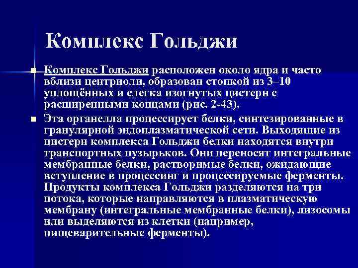 Комплекс Гольджи n n Комплекс Гольджи расположен около ядра и часто вблизи центриоли, образован