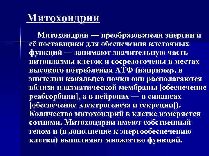 Митохондрии Митохондрии — преобразователи энергии и её поставщики для обеспечения клеточных функций — занимают