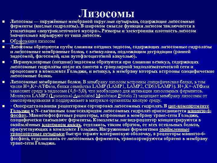 n n n Лизосомы — окружённые мембраной округлые пузырьки, содержащие лизосомные ферменты (кислые гидролазы).