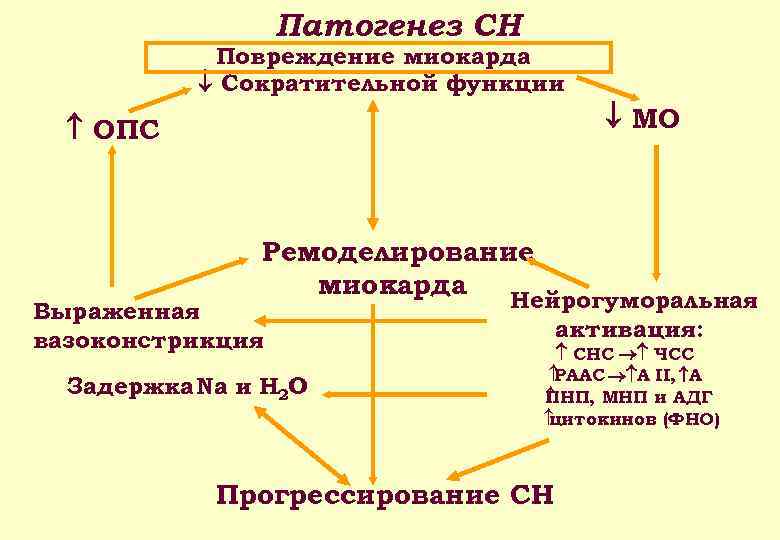 Патогенез СН Повреждение миокарда Сократительной функции МО ОПС Ремоделирование миокарда Нейрогуморальная Выраженная вазоконстрикция Задержка