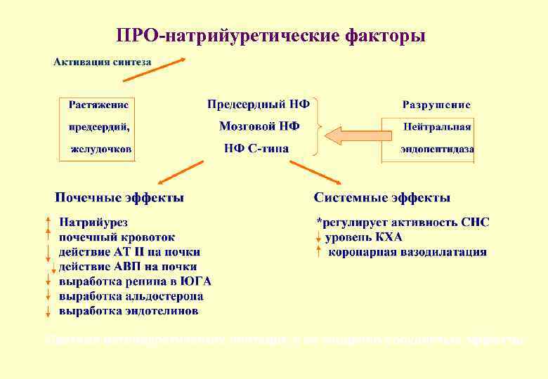 ПРО-натрийуретические факторы 