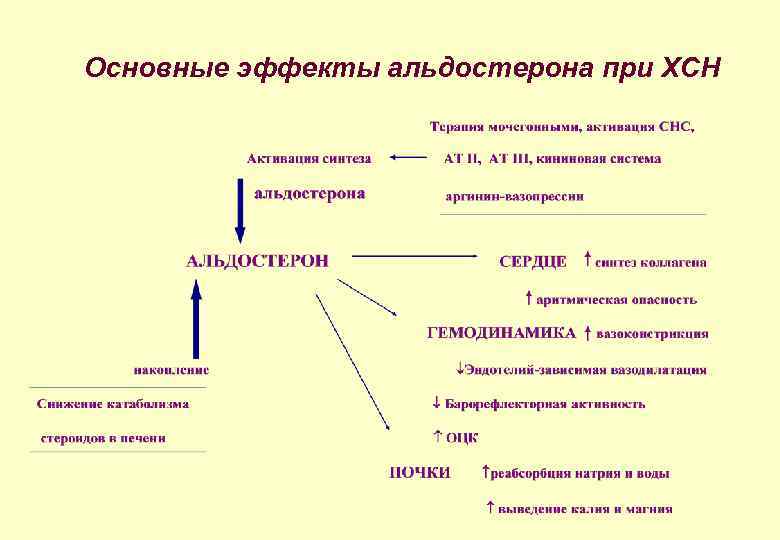 Основные эффекты альдостерона при ХСН 