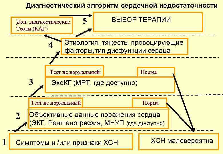 Диагностический алгоритм сердечной недостаточности Доп. диагностические Тесты (КАГ) 4 5 ВЫБОР ТЕРАПИИ Этиология, тяжесть,