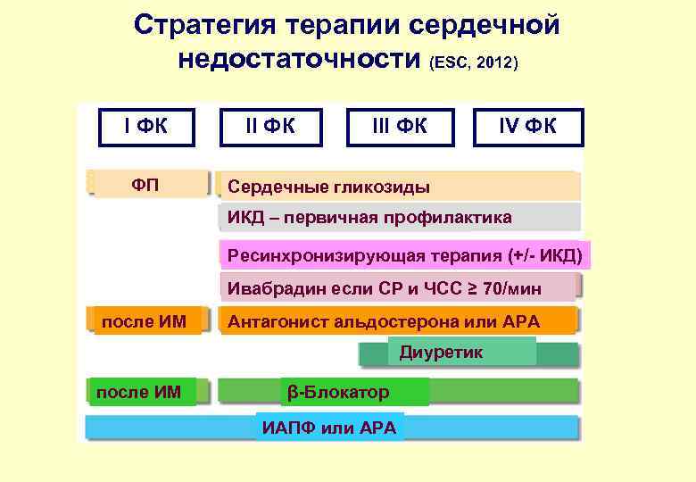 Стратегия терапии сердечной недостаточности (ESC, 2012) I ФК ФП II ФК IV ФК Сердечные