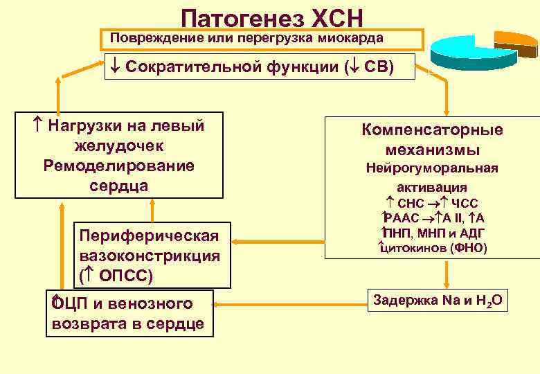 Патогенез ХСН Повреждение или перегрузка миокарда Сократительной функции ( СВ) Нагрузки на левый желудочек