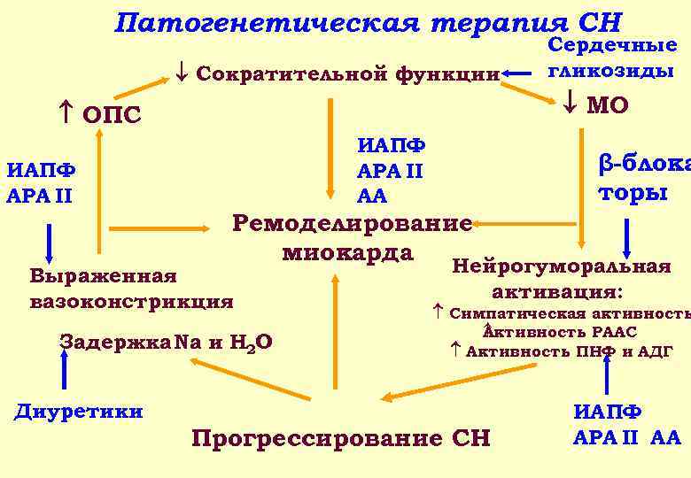 Патогенетическая терапия СН Сократительной функции МО ОПС ИАПФ АРА II Сердечные гликозиды ИАПФ АРА