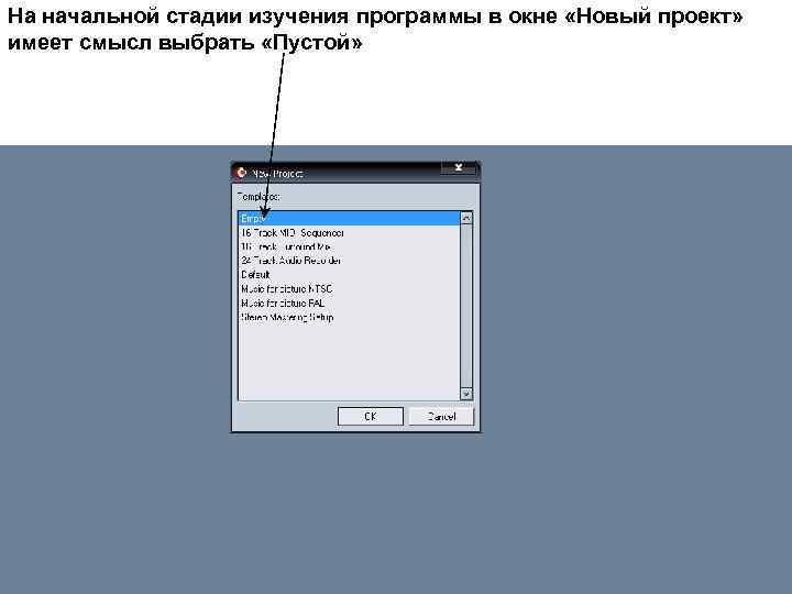 На начальной стадии изучения программы в окне «Новый проект» имеет смысл выбрать «Пустой» 