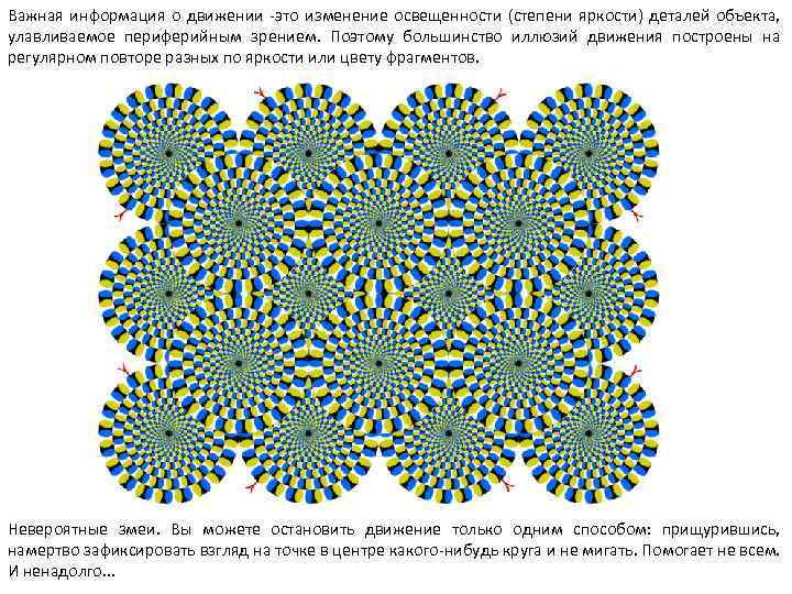 Важная информация о движении -это изменение освещенности (степени яркости) деталей объекта, улавливаемое периферийным зрением.