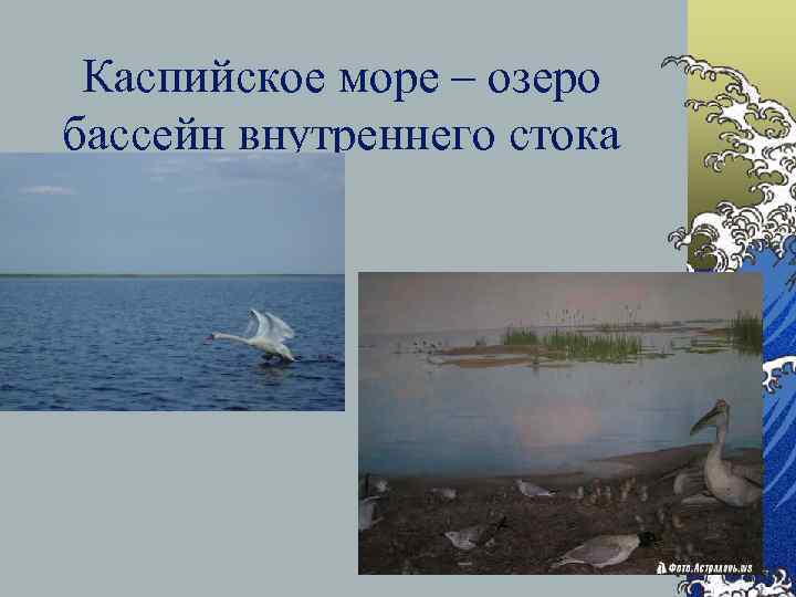 Каспийское море – озеро бассейн внутреннего стока 