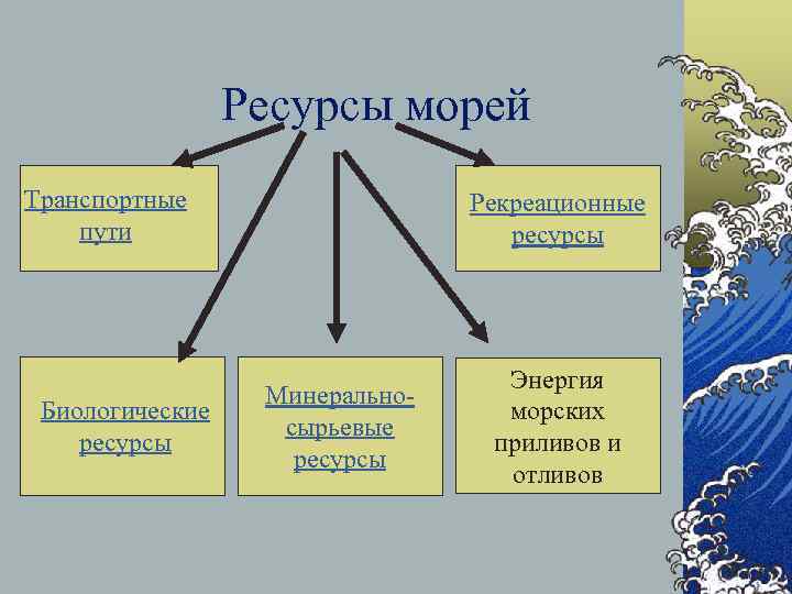 Ресурсы морей Транспортные пути Биологические ресурсы Рекреационные ресурсы Минеральносырьевые ресурсы Энергия морских приливов и