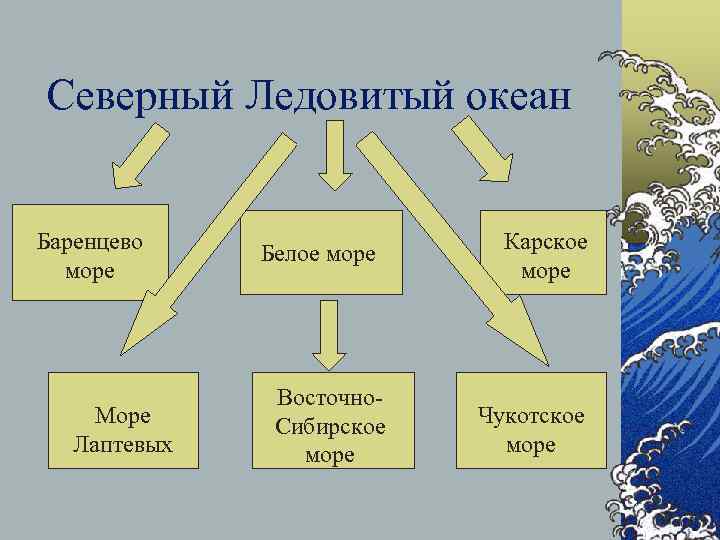 Северный Ледовитый океан Баренцево море Море Лаптевых Белое море Восточно. Сибирское море Карское море