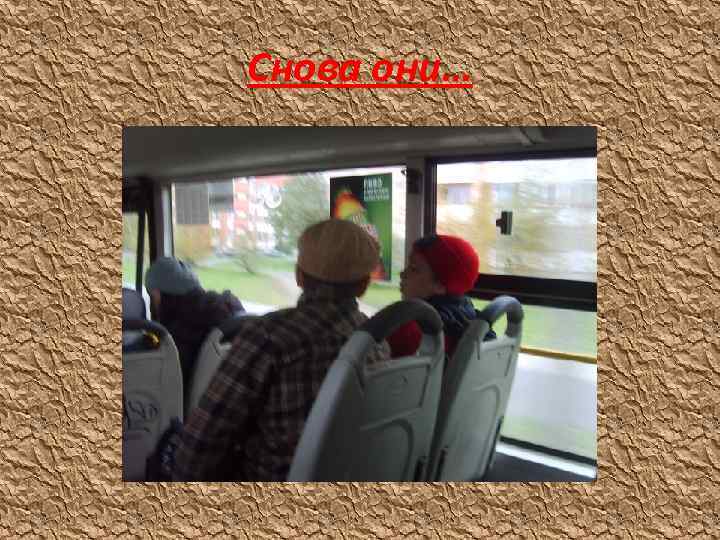 Снова они… 