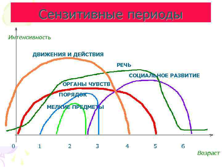 Сензитивные периоды Интенсивность ДВИЖЕНИЯ И ДЕЙСТВИЯ РЕЧЬ СОЦИАЛЬНОЕ РАЗВИТИЕ ОРГАНЫ ЧУВСТВ ПОРЯДОК МЕЛКИЕ ПРЕДМЕТЫ