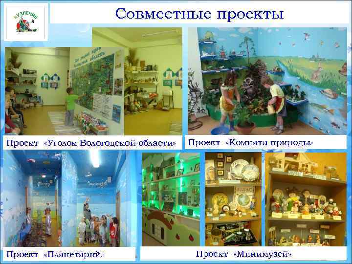 Совместные проекты Проект «Уголок Вологодской области» Проект «Планетарий» Проект «Комната природы» Проект «Минимузей» 