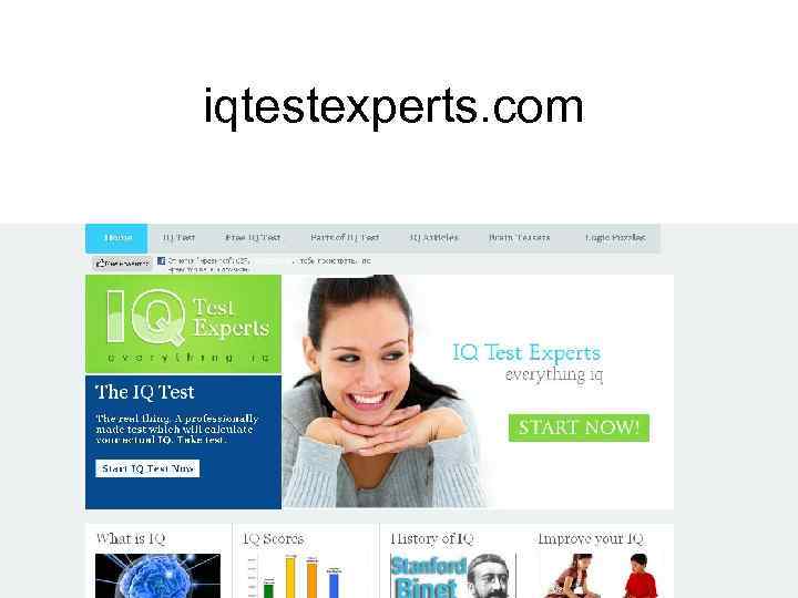 iqtestexperts. com 