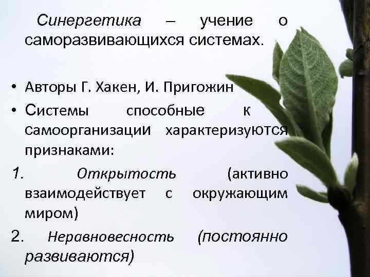 Синергетика – учение о саморазвивающихся системах. • Авторы Г. Хакен, И. Пригожин • Системы