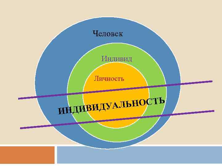 Человек Индивид Личность ИНД ЛЬНОСТЬ ИВИДУА 