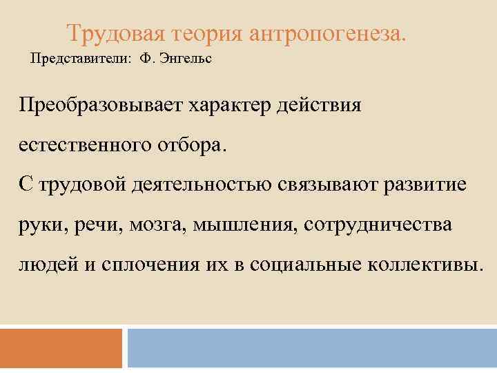 Трудовая теория антропогенеза. Представители: Ф. Энгельс Преобразовывает характер действия естественного отбора. С трудовой деятельностью