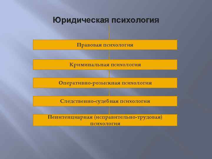 Юридическая психология Правовая психология Криминальная психология Оперативно-розыскная психология Следственно-судебная психология Пенитенциарная (исправительно-трудовая) психология 