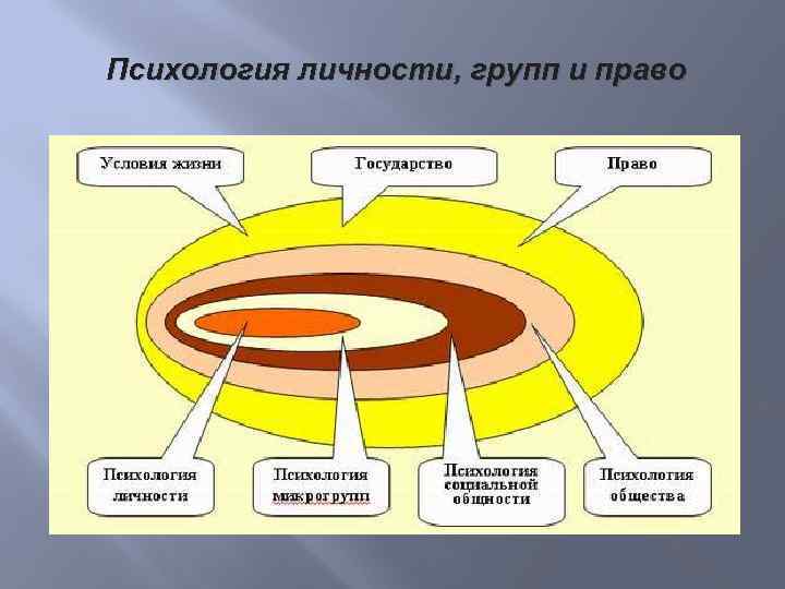 Психология личности, групп и право 