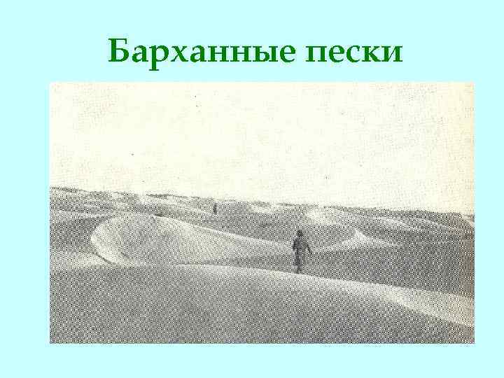 Барханные пески 