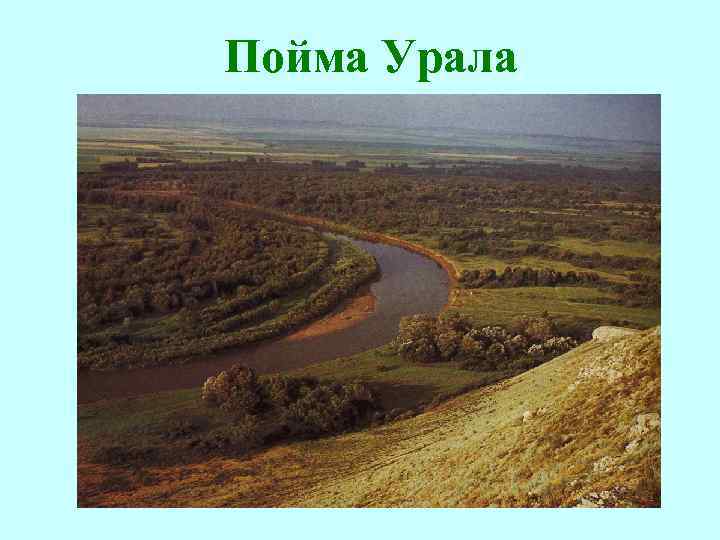 Пойма Урала 