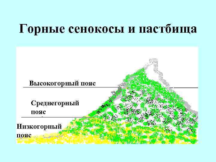 Горные сенокосы и пастбища Высокогорный пояс Среднегорный пояс Низкогорный пояс 