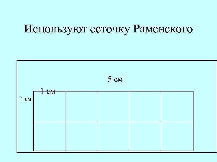 Используют сеточку Раменского 5 см 1 см 