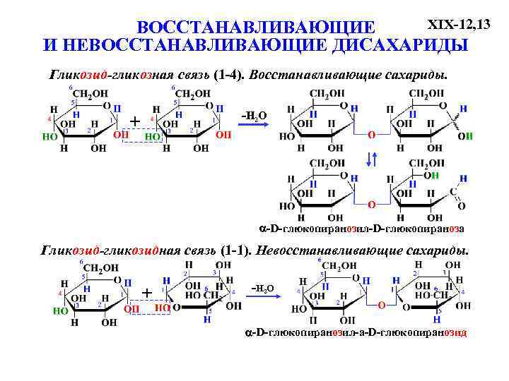 Дисахариды полисахариды