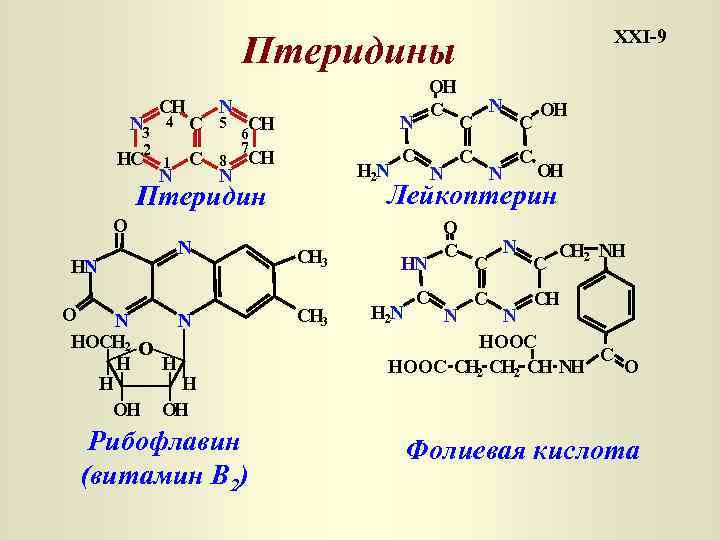 XXI-9 Птеридины CH N 3 4 C 2 HC 1 C N N 5